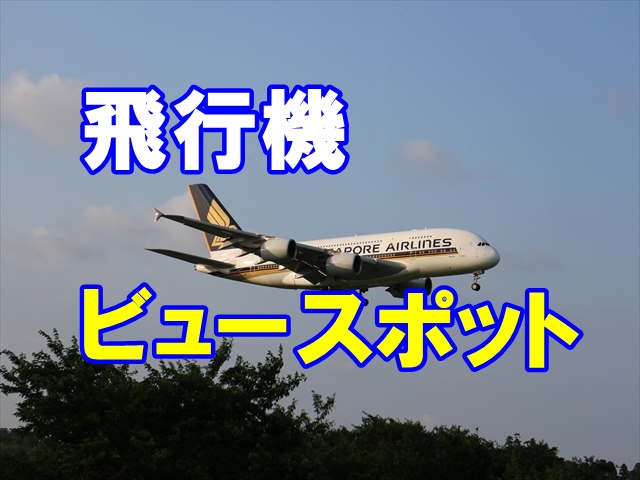 成田空港　一番機　写真 成田空港 一番機 写真
